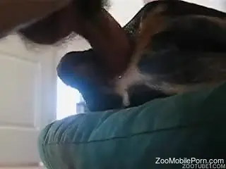 Dog gets a huge cock in the ass during home zoo porn