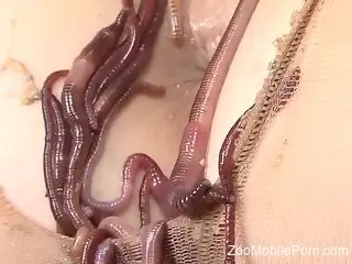Crawling zoophilia pussy and anal porn with a Japanese slut