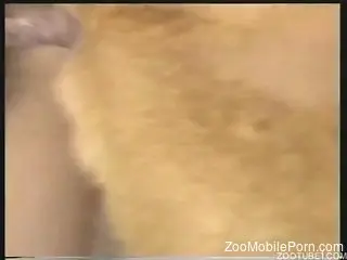 Man anal fucks wife then lets her deal the dog cock