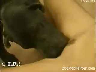 Naughty amateur babe moans when being fucked by a Great Dane
