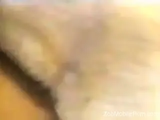 Woman fucks with her furry friend in rough amateur XXX
