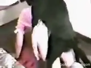 Dog humps female in the pussy for a complete XXX play