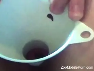 Closeup zoophilia teasing man and making him cum hard