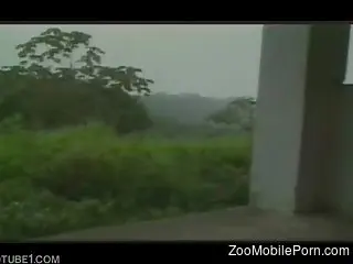 Curvy ass Latina woman, rough sex with a horny dog