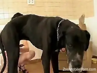 Mutt's huge dick makes these horny bitches very happy