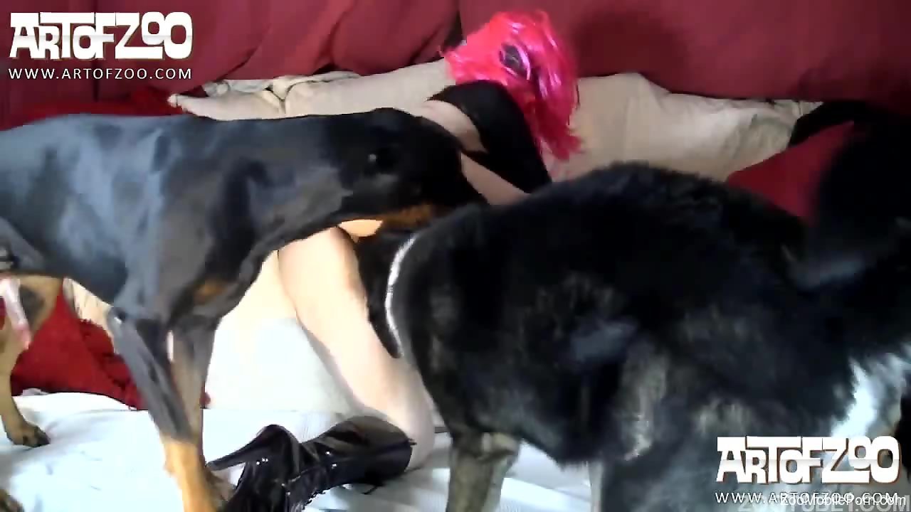 2 dicks fuck dog in pussy and ass