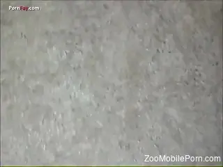 Special home zoophilia for the naked wife in cuckold scenes