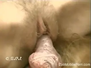 Busty nude blonde in scenes of merciless dog porn