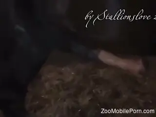 Huge horse cock hanging makes horny dude really intrigued