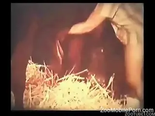 Vintage zoo porn with a milf addicted to cock