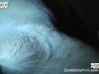 Sexy nude woman offers closeup views during her zoo tryout