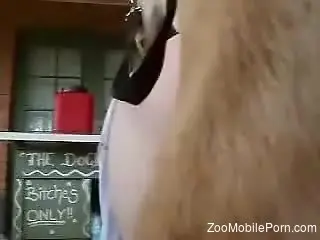 Milf leaves her furry friend to fuck her good