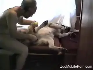 Naked man wants a piece of his dog's pussy