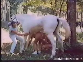The wife moans of lust with the horse cock in her mouth