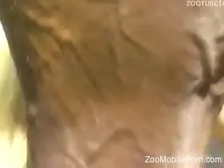 Busty blonde wife amazes with how slutty she can be