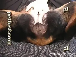 Twink enjoys the dog for a few rounds of insane zoo sex