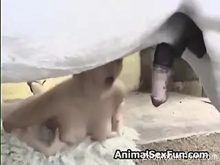 Busty woman plays rough with the horse's heavy dick