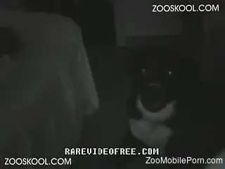 Raw scenes with a nude woman trying dog cock in her twat
