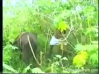 Hunk uses horse and hens to satisfy his sexual desires