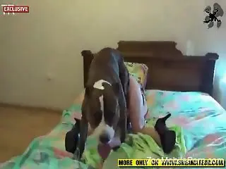 Milf gets her pussy smashed in serious zoo cam scenes