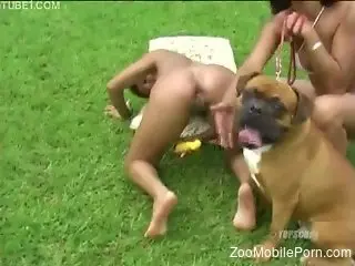 Smashing nude females using the horse cock for sexual delight