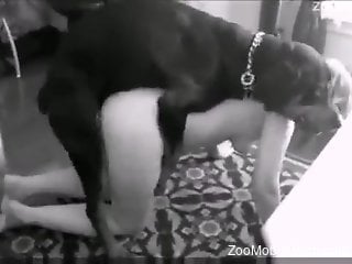 Black and white scenes of a milf being fucked by her dog
