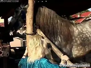 Mature drives giant horse penis down her tight butt hole