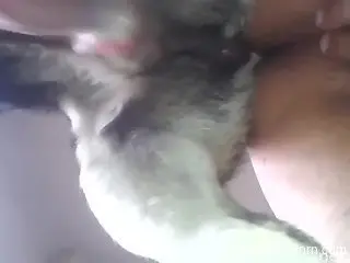 Man humps dog in the pussy and films the whole thing