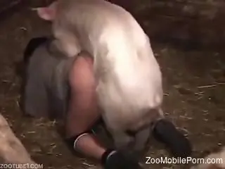 Pig ass fucks man and cums in his anal hole
