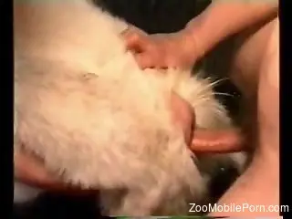 Mature enjoys two men and a goat in extreme sex scenes