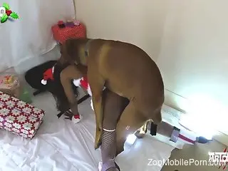 Ebony slut bends booty for a bit of hard dog sex