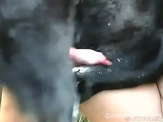 Hot female bends ass and tries doggy with her trustful dog