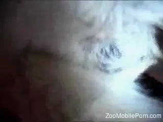 Closeup anal scenes and nudity with a man, his wife and their dog