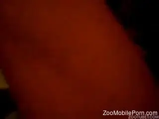 Horny man fucks a dog and makes sure to tape himself