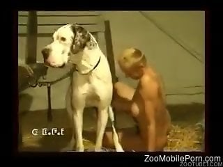 Horny female loves the taste of dog cock in her mouth and cunt