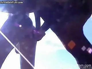 Short-haired chick getting fucked by a stallion
