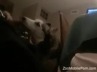 Dude gets a nice sloppy blowjob from his sexy dog