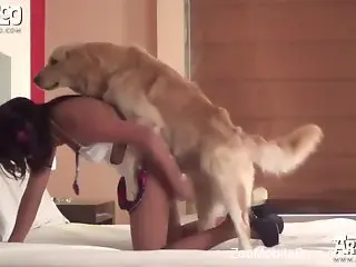 Tanned hottie takes a dog's dick in her wet pussy