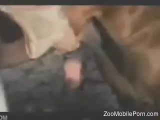 Retro bestiality action with a horse cock addict