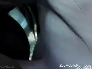 Dude's shaved cock penetrating a mare's tight cunt