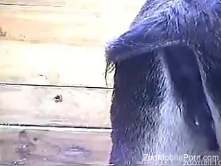 Dude with a pasty body fucking a submissive beast