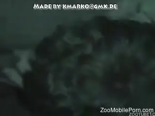 Dude fucks an animal's throat and then pussy