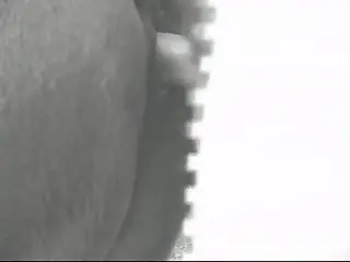 Dude's hard boner slides in and out of that mare pussy