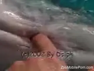 Dolphin's hot cock getting pleasured in POV