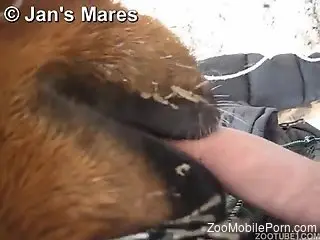 Dude fucking a horny animal's throat in a sex tape vid