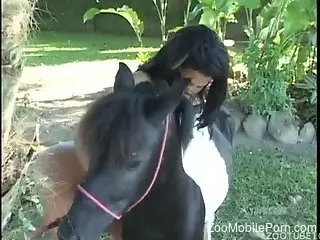 Latina babe sucking on a pony's cock outdoors