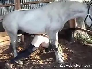 Dude's butthole getting gaped by a hung stallion