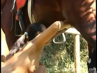 Ponytailed Latina worships a stallion's HUGE dick
