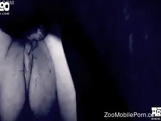 Moody B&W porn clip revolving around hardcore bestiality