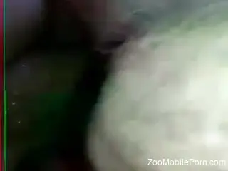 Dude screwing this animal's delightful little cunt